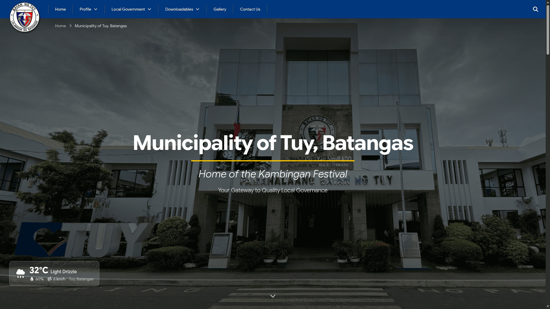 Screenshot of Tuy Government Website